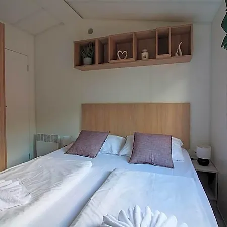 Racoon - Simply Different! 4* Landau in der Pfalz