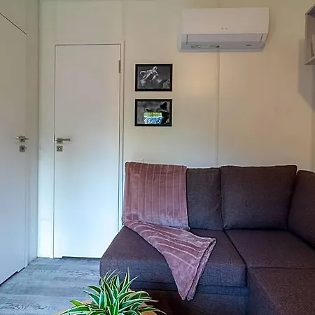 Szálloda Racoon - Simply Different! 4*